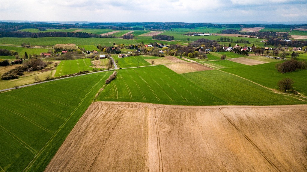 Działka Sprzedaż Jaszów 4