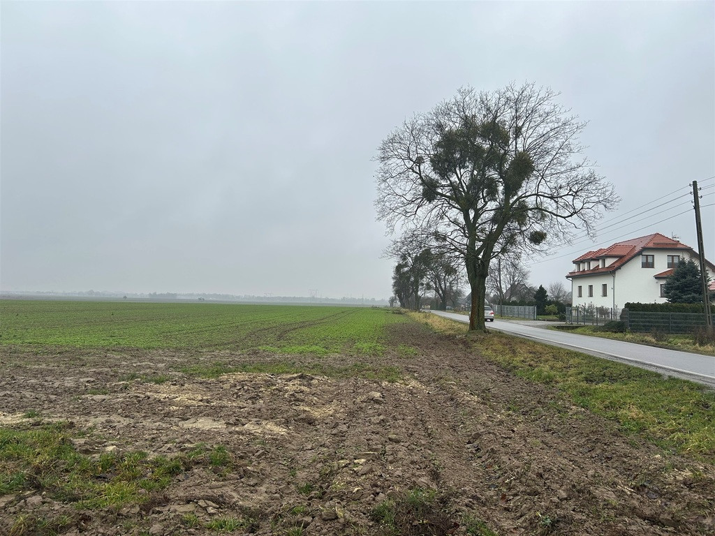 Działka Sprzedaż Stępin 4