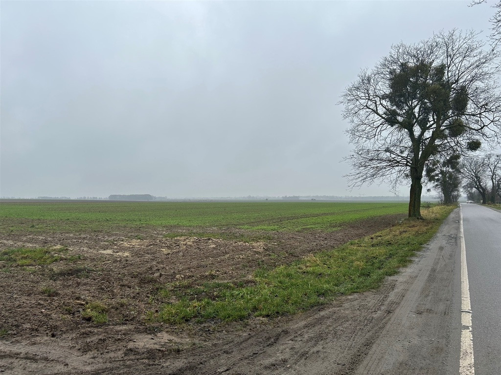Działka Sprzedaż Stępin 5