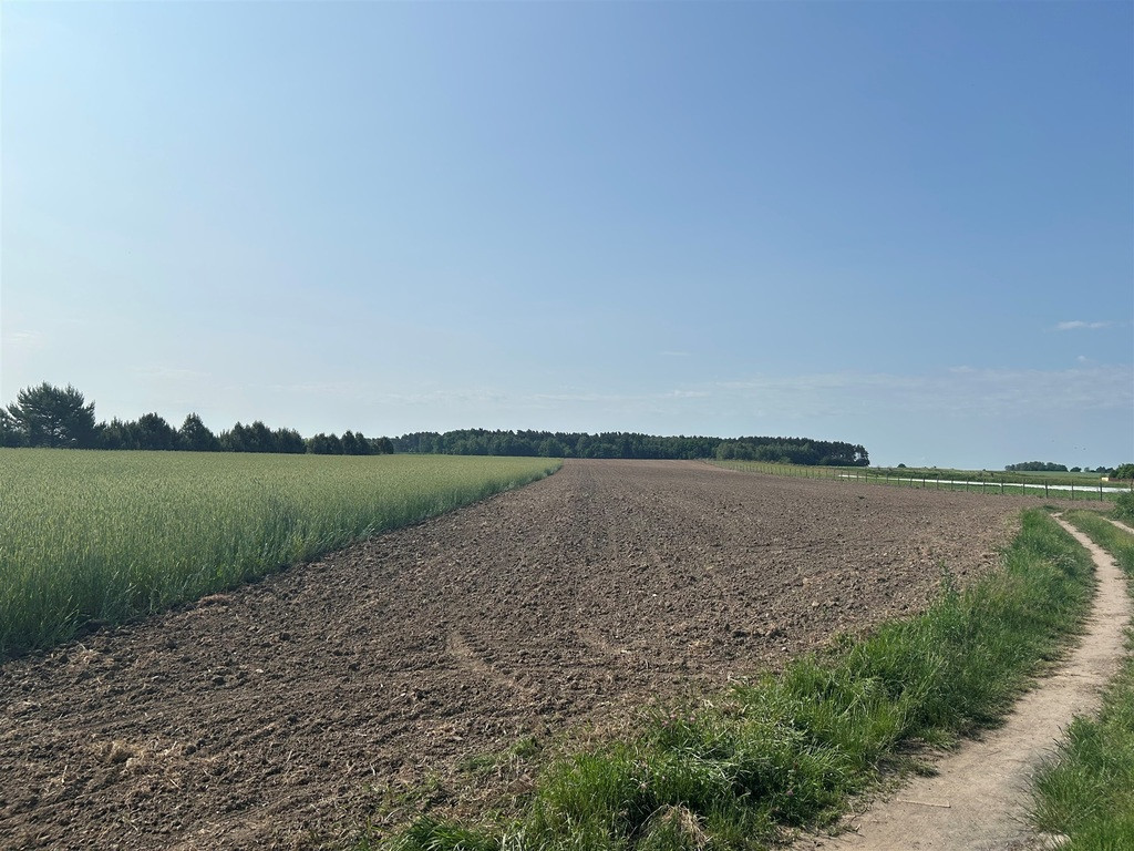 Działka Sprzedaż Bielawa Akacjowa 4
