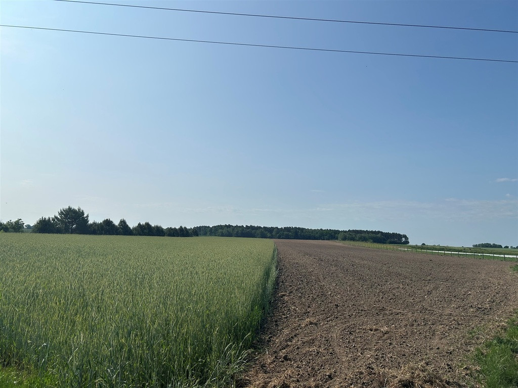 Działka Sprzedaż Bielawa Akacjowa 5