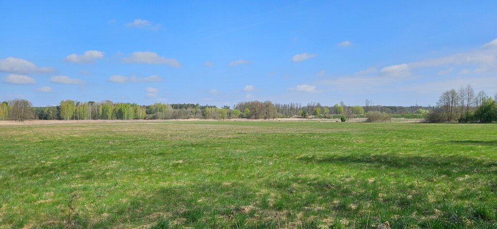 Działka Sprzedaż Borucice