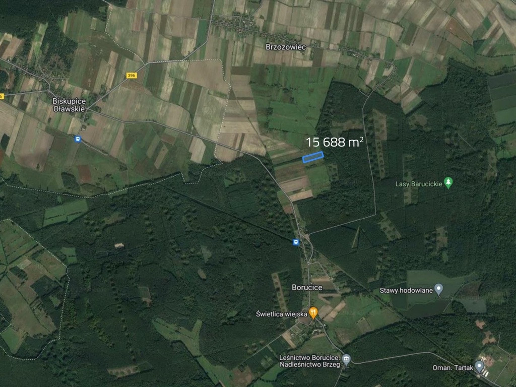 Działka Sprzedaż Borucice
