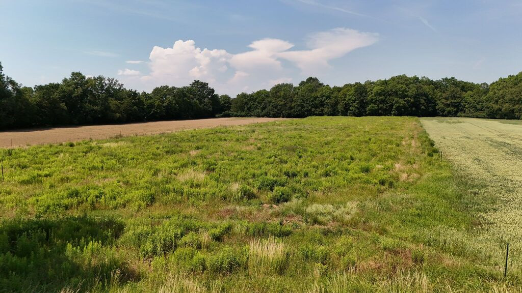Działka Sprzedaż Mietków Bystrzycka 6