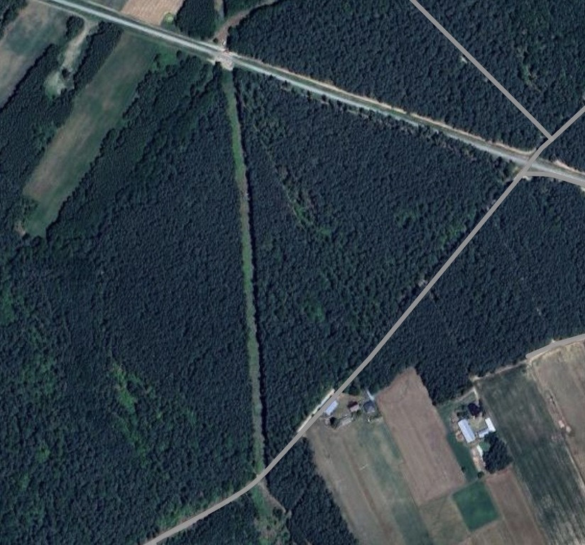 Działka Sprzedaż Borkowo Kościelne Leśna 6