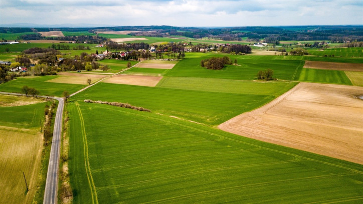 Działka Sprzedaż Jaszów 3