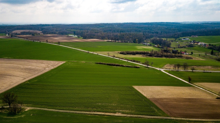 Działka Sprzedaż Jaszów 7