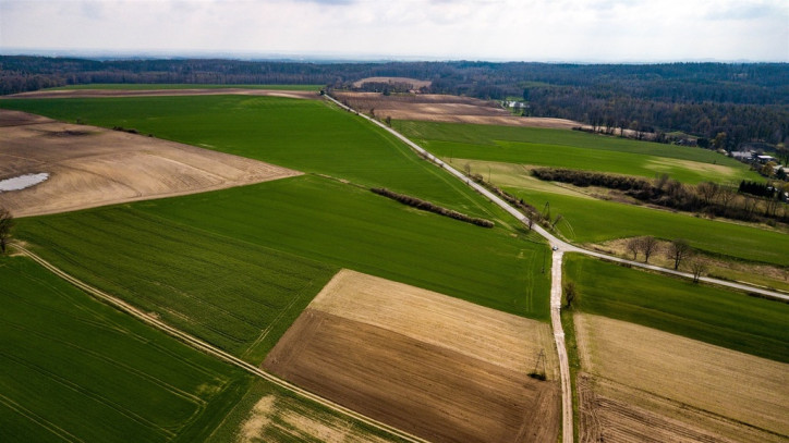 Działka Sprzedaż Jaszów 8