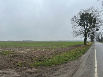 Działka Sprzedaż Stępin