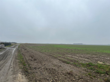 Działka Sprzedaż Stępin