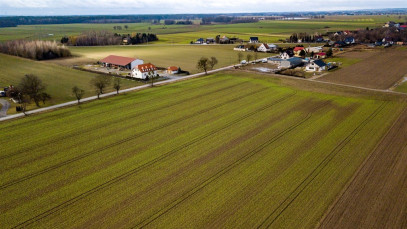 Działka Sprzedaż Stępin