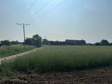 Działka Sprzedaż Bielawa Akacjowa