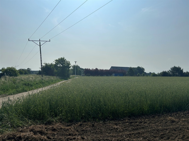 Działka Sprzedaż Bielawa Akacjowa 3