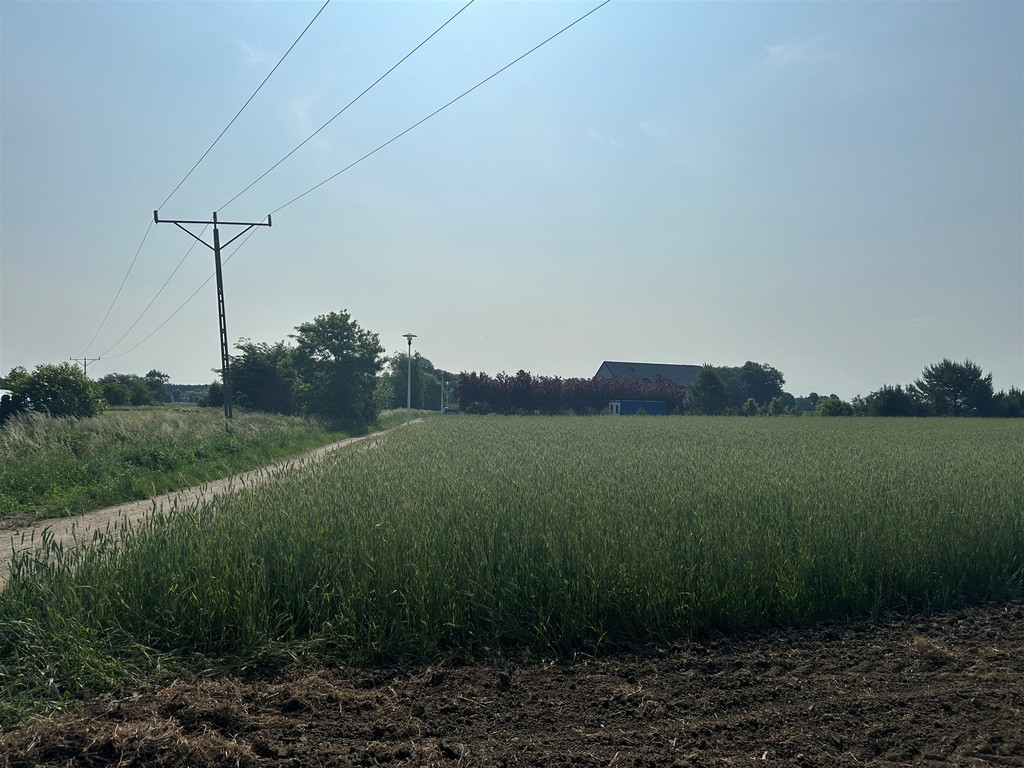 Działka Sprzedaż Bielawa Akacjowa