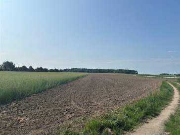 Działka Sprzedaż Bielawa Akacjowa