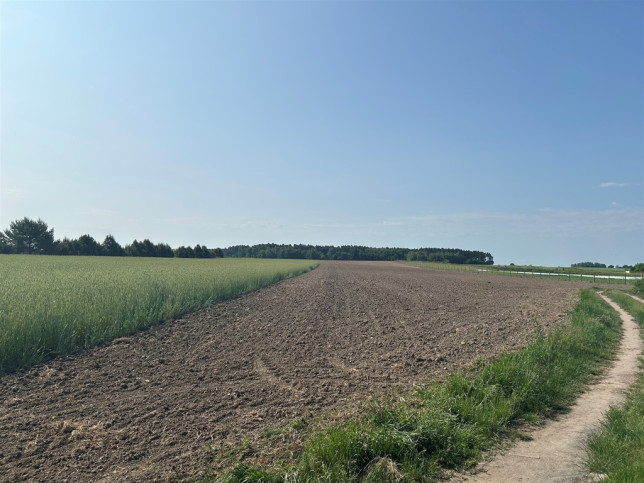 Działka Sprzedaż Bielawa Akacjowa 4