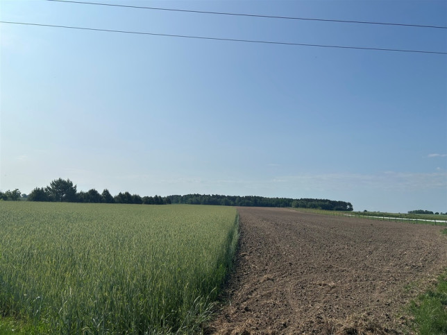 Działka Sprzedaż Bielawa Akacjowa 5