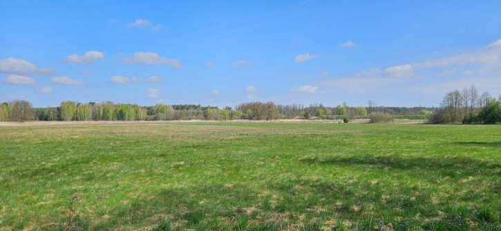 Działka Sprzedaż Borucice 1