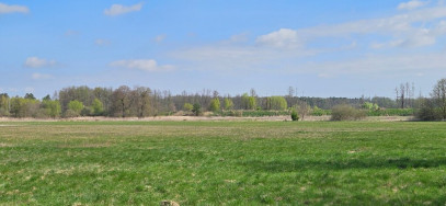Działka Sprzedaż Borucice