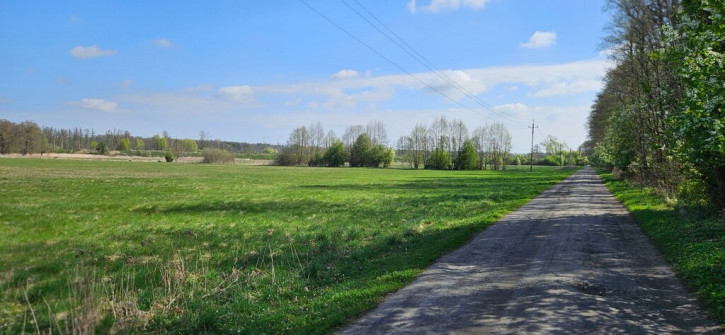 Działka Sprzedaż Borucice 3