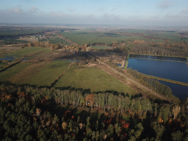 Działka Sprzedaż Borucice 7