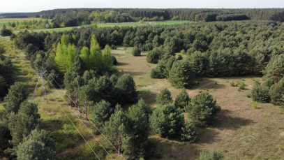 Działka Sprzedaż Biskupice Oławskie Polna