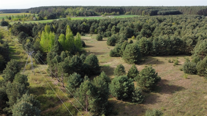 Działka Sprzedaż Biskupice Oławskie Polna 6