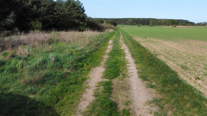 Działka Sprzedaż Biskupice Oławskie Polna