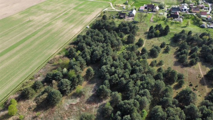 Działka Sprzedaż Biskupice Oławskie Polna 11