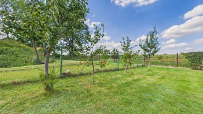 Mieszkanie Sprzedaż Danielowice
