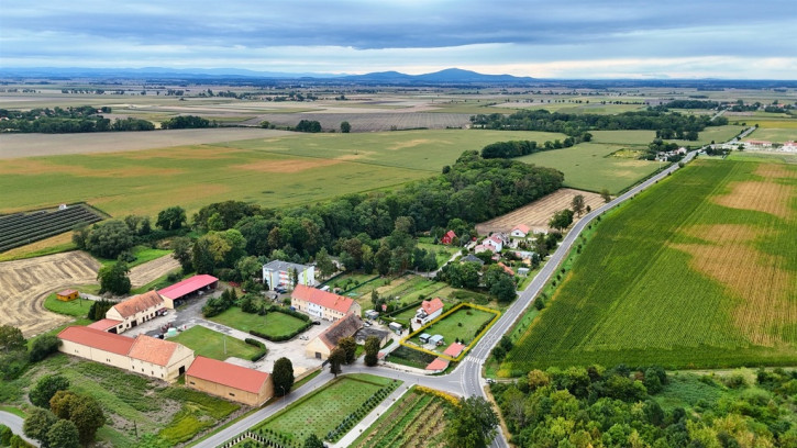 Mieszkanie Sprzedaż Danielowice 15