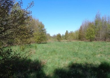 Działka Sprzedaż Pabianice Jutrzkowice 15 Pułku Piechoty Wilków