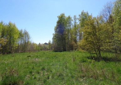 Działka Sprzedaż Pabianice Jutrzkowice 15 Pułku Piechoty Wilków