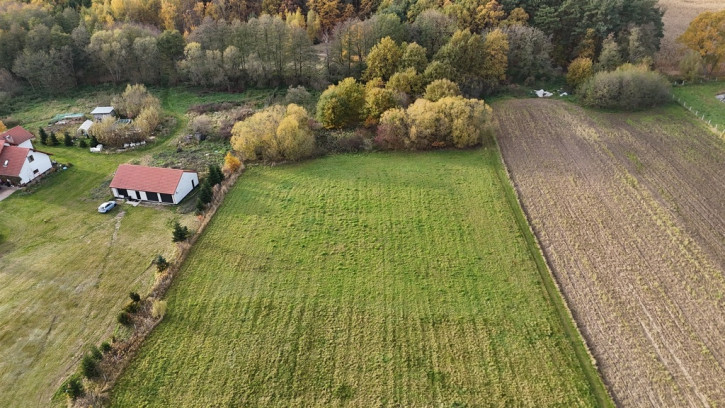 Działka Sprzedaż Kobylice Radosna 2