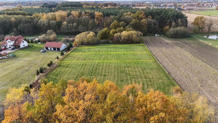Działka Sprzedaż Kobylice Radosna 1