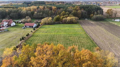 Działka Sprzedaż Kobylice Radosna