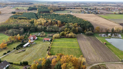 Działka Sprzedaż Kobylice Radosna