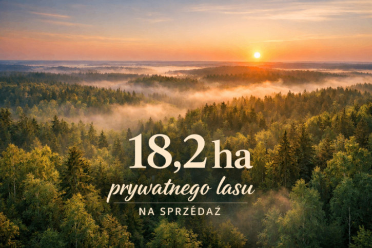 Działka Sprzedaż Borkowo Kościelne Leśna 1