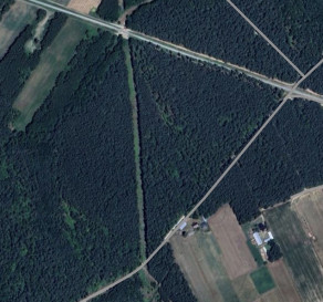 Działka Sprzedaż Borkowo Kościelne Leśna