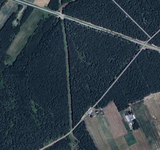 Działka Sprzedaż Borkowo Kościelne Leśna 6