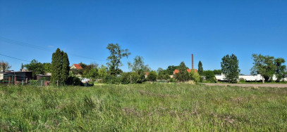 Działka Sprzedaż Działosza