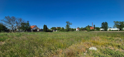 Działka Sprzedaż Działosza