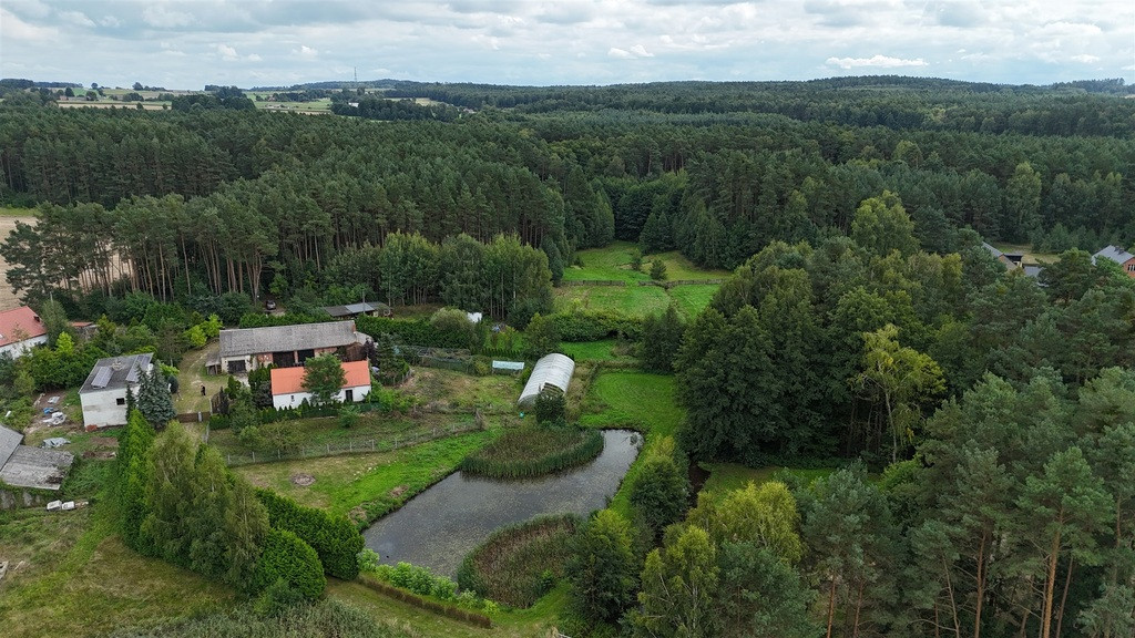 Dom Sprzedaż Kobyla Góra Miętowa