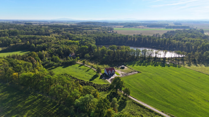 Dom Sprzedaż Wilczków 1