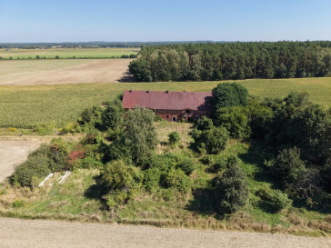 Działka Sprzedaż Syców Kaliska