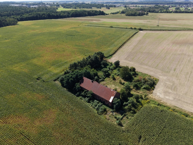 Działka Sprzedaż Syców Kaliska 4