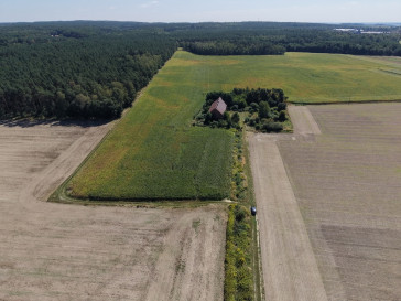 Działka Sprzedaż Syców Kaliska