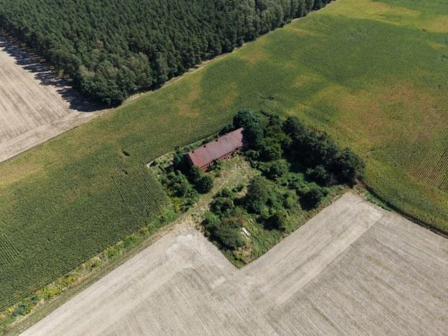 Działka Sprzedaż Syców Kaliska 3