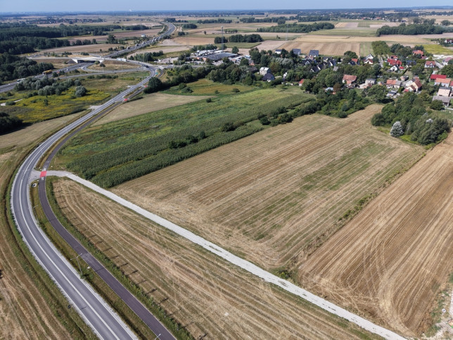 Działka Sprzedaż Łozina Lipowa 8