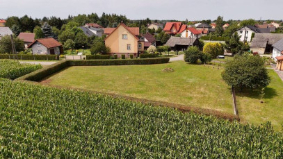 Działka Sprzedaż Przeciszów Borkowa